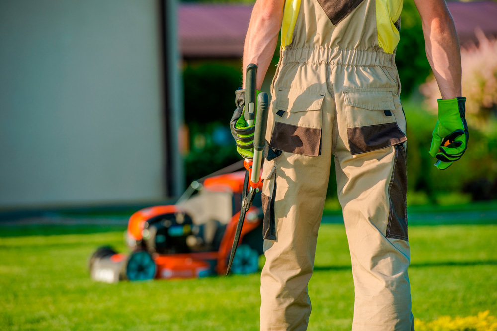 mantenimiento jardinería